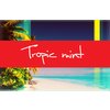 TropicMint